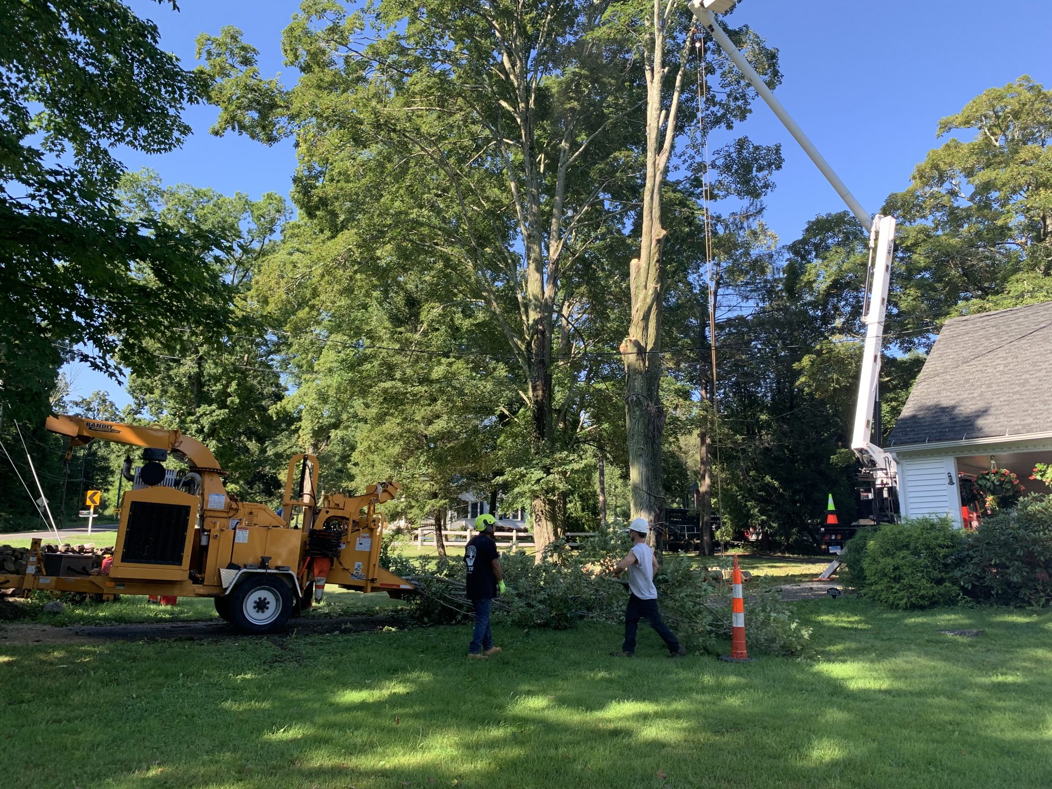 Tree Pruning | E.C. Tree LLC | Cheshire, CT